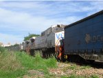 VLI 6043